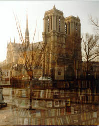 Notre Dame & Books