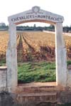 Chevaliers-Montrachet, Burgundy, France