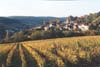 Vineyard, Pernard-Vergelesses, Burgundy, France