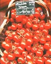 Tomatoes in Basket, Paris, France