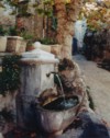 Fountain & Tree, Provence, France