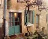 Shutters and Grapevine, Provence, France