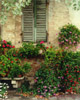 Flowers & Shutters, Tuscany, Italy