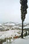 Snow, San Gimignano #2, Italy