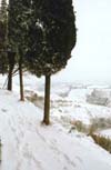 Snow, San Gimignano #1, Italy