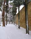 Snow, Wall, Trees, Tuscany, Italy
