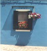 Window, Flowers, Blue Wall, Burano, Italy